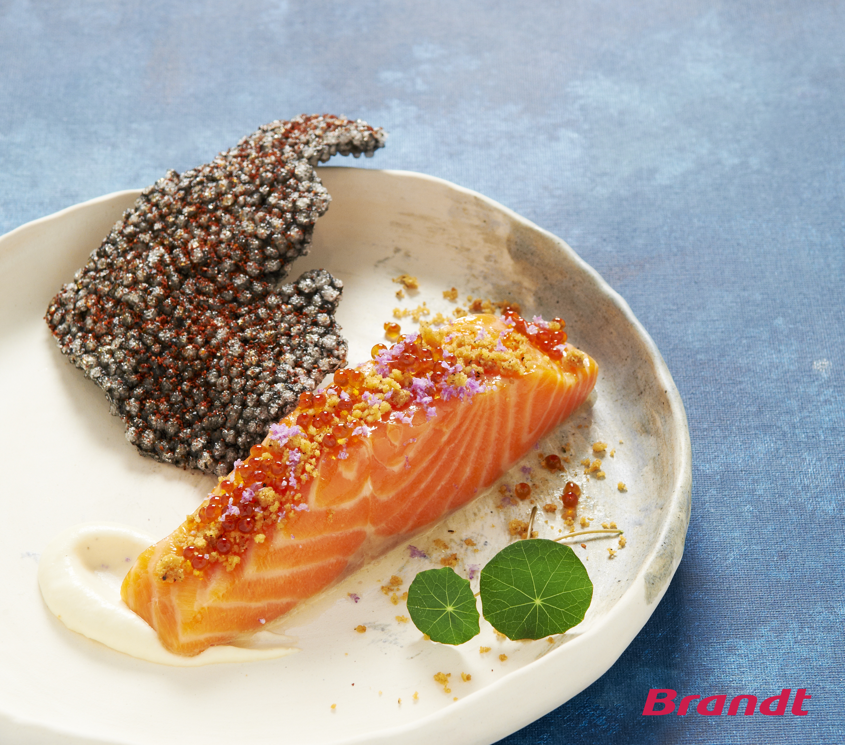 spiced-confit-salmon-trout